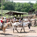 Tanglewood ranch